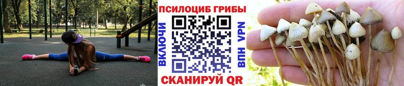 блэк спрут рабочий сайт  Кондрово  Псилоцибиновые грибы прущие грибы  даркнет сайт 